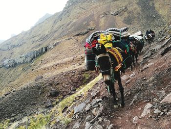 Rear view of people on rock