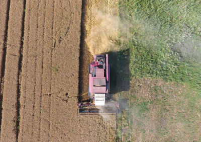 High angle view of agricultural field