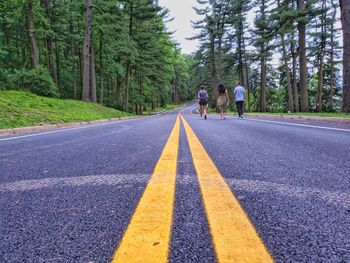 Rear view of people walking on road in forest