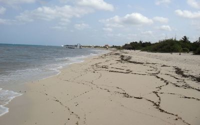 Scenic view of beach against sky