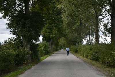 Rear view of man riding bicycle on road