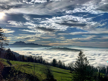 Scenic view of landscape against sky