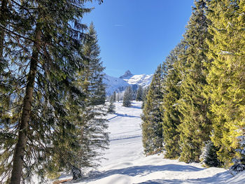 Scenic view of snow covered mountains against sky