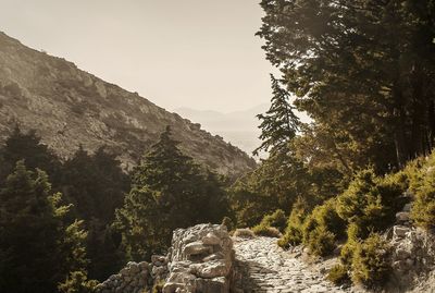 Footpath passing through landscape