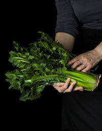 Midsection of person holding leaf against black background