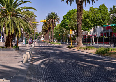 Road amidst palm trees in city against sky