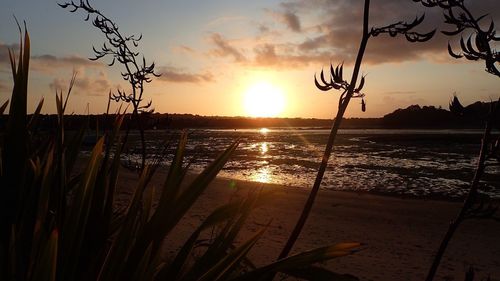 Scenic view of sunset