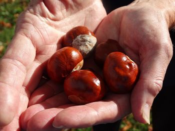 Close-up of hand holding strawberries