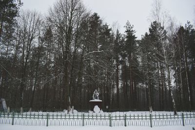 Trees against sky during winter