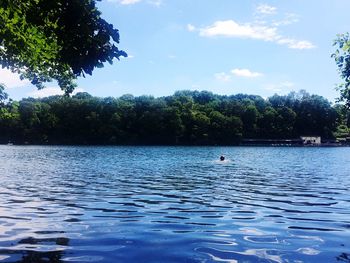 Lake with trees in background