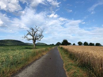 Dirt road amidst agricultural field against sky