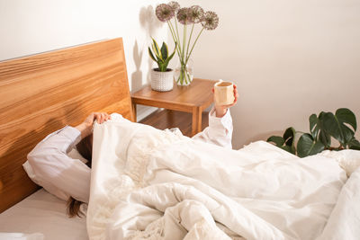 Potted plant on bed at home