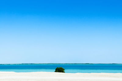 Scenic view of sea against clear blue sky