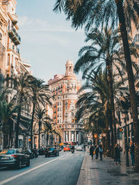 City street by palm trees and buildings against sky