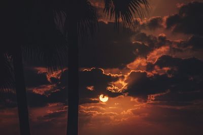 Silhouette trees against sky at night
