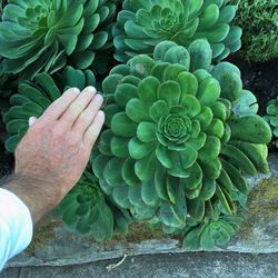 High angle view of human hand