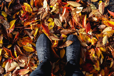 Low section of person standing by dry leaves during autumn