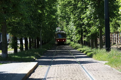 Train amidst trees in city