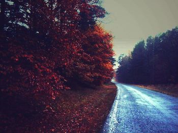 Close-up of road by trees against sky