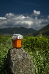 Close-up of drink on rock