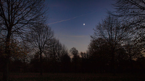 Silhouette bare trees on field against sky at night