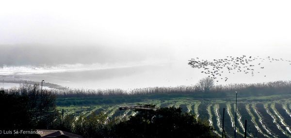Scenic view of land against sky