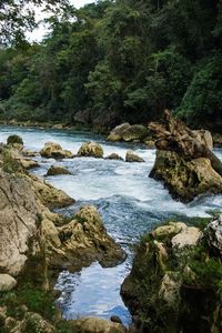 River flowing through rocks in forest