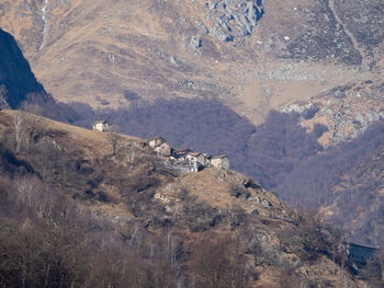 High angle view of trees on mountain