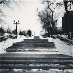 View of street amidst trees during winter