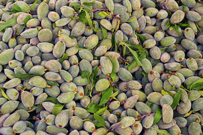 Full frame shot of unripe fruits at market