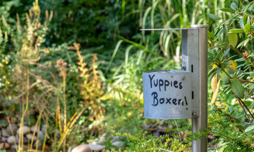 Close-up of information sign against plants