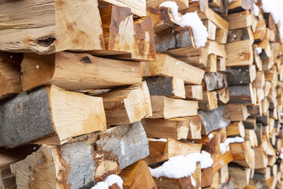 Full frame shot of wooden logs in forest