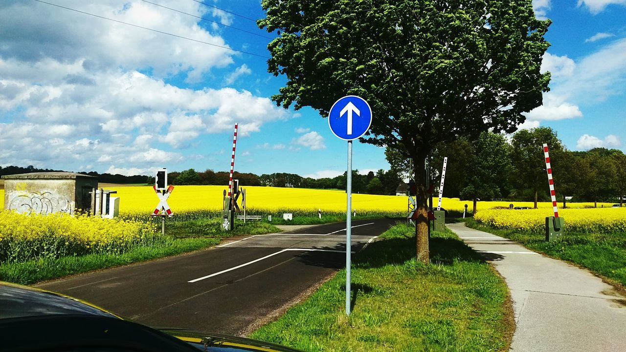 road, transportation, sky, tree, yellow, grass, road marking, cloud - sky, blue, the way forward, field, street, cloud, green color, road sign, diminishing perspective, growth, landscape, country road, empty
