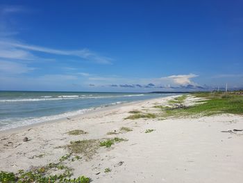 Scenic view of beach against blue sky