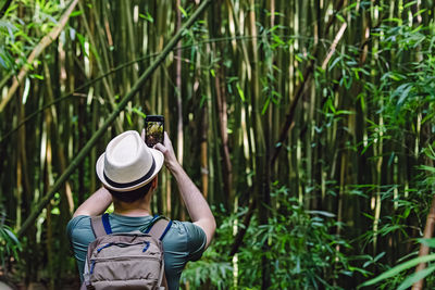 Man taking picture of the nature in beautiful green forest with bamboo trees, view from the back