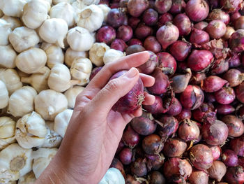 Close-up of hand holding red onions