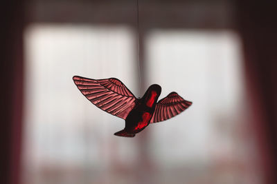 Close-up of artificial humming bird