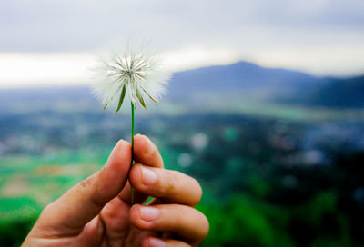 Cropped hand of person holding dandelion against sky