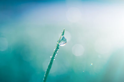 Raindrop on the grass leaf in springtime in rainy days