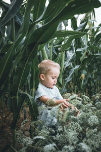 Cute boy looking away outdoors
