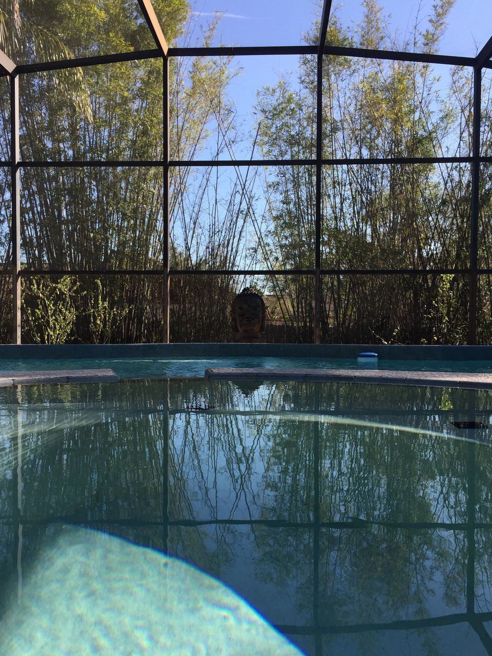 REFLECTION OF TREES ON SWIMMING POOL AGAINST SKY