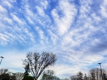 Low angle view of trees against blue sky