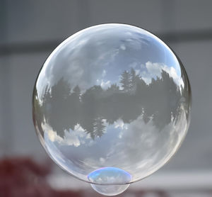 Close-up of bubbles