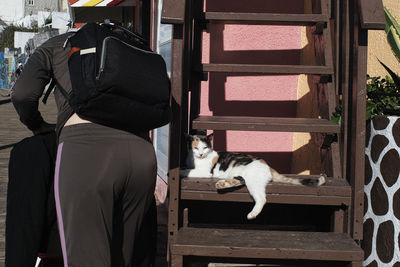 Cat sitting on chair outdoors