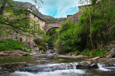 Scenic view of river in forest against sky