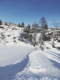 Snow covered field against sky