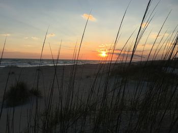 Scenic view of sea at sunset