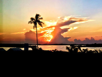 Silhouette palm trees on beach against sky during sunset