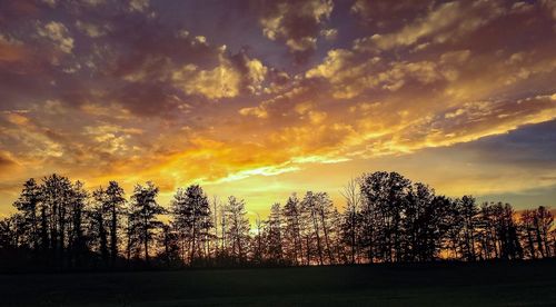 Silhouette trees against sky during sunset