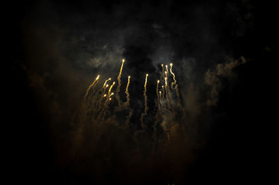 Low angle view of firework display in sky at night